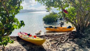 three canoes on a beach next to a body of water at Appartement Frégate de la Pointe in Le Robert