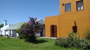 a yellow building with a tree in front of it at Estancia Rincón del San Francisco in Paysandú
