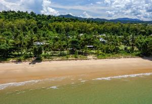 an aerial view of a beach with palm trees at Beach-Villa 4 in South Mission Beach
