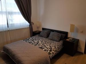 Postel nebo postele na pokoji v ubytování Treasure Mountain Predeal