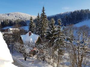 Příroda nedaleko apartmánu