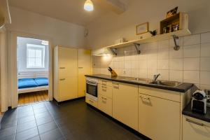 Kuchyň nebo kuchyňský kout v ubytování Eigene Wohnung im Stadtzentrum mit wunderschöner Dachterrasse