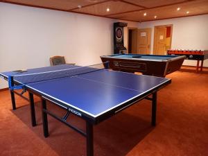Stolní tenis v ubytování Pension Edelweiß nebo okolí
