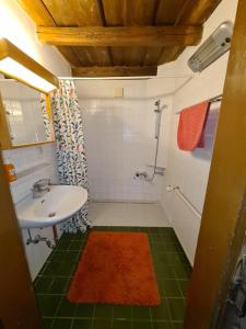 Kúpeľňa v ubytovaní Landhaus Nitsch Appartement - Gästehaus Nitsch Appartement