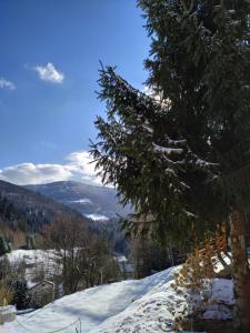 Príroda v okolí dovolenkového domu