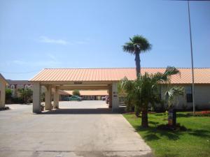 een paviljoen met een palmboom voor een gebouw bij Pleasanton Executive Inn in Pleasanton