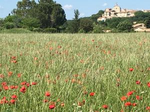 een veld met rode papavers voor een kasteel bij Chambre studio indépendante au calme vue sur piscine in Teyran