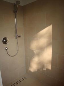 a bathroom with a shower with a shower head at Große Liebe in Füsing