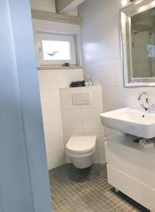 a bathroom with a toilet and a sink at Luft Pur Ort in Kappeln