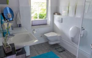 a white bathroom with a toilet and a sink at Schlei-Oase in Brodersby +14 photos