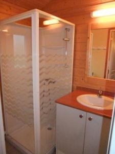 ein Bad mit einer Dusche und einem Waschbecken in der Unterkunft Chalet edelweiss 35 in Mélisey