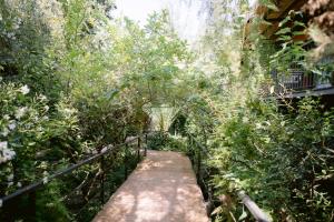 
a walkway leading to a forest filled with plants at Mont-Sant in Xàtiva
