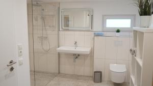 a bathroom with a shower and a sink and a toilet at Die Fünf in Brodersby +24 photos