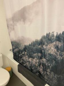 a shower curtain with a picture of a mountain at Calarosa Boutique Apartment Arosa in Arosa
