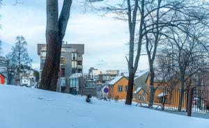 Gallery image of King's Park in Tromsø