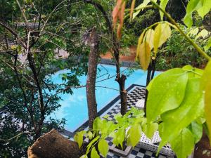 a view of a swimming pool through the trees at AliKele Hotel & Resort in Sigiriya