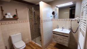 a bathroom with a shower and a toilet and a sink at Las cuevas del agua in Chinchón