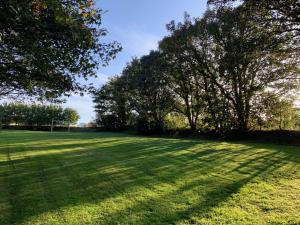 a large grass field with trees and a soccer ball at Canllefaes Cottages in Cardigan