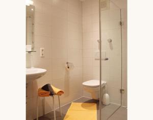 a bathroom with a shower and a toilet and a sink at Ferienwohnung Adolf Hornsteiner in Mittenwald