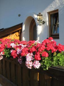 a display of red and pink flowers on a fence at Ferienwohnung Adolf Hornsteiner in Mittenwald +3 photos