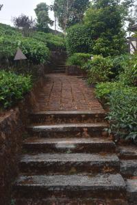 Taman di luar Jeevess Retreat Wayanad