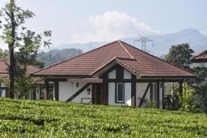 Pemandangan gunung umum atau pemandangan gunung yang diambil dari resort