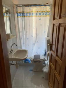 a bathroom with a sink and a toilet and a shower curtain at Dafni Studios in Neo Klima