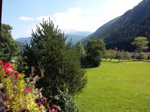 Príroda v okolí horskej chaty + 32 fotografií