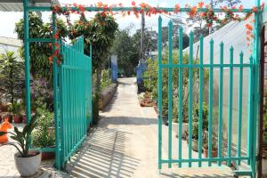une porte verte dans un jardin avec des plantes à fleurs dans l'établissement Chocolate Home, à Đà Lạt