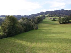 a large green field with trees in the distance at Luxurious holiday home with terrace in Tyrol in Brixen im Thale