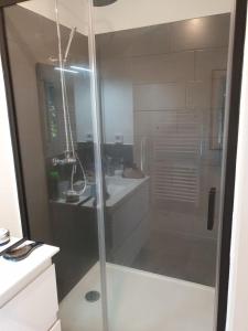 uma cabina de duche em vidro na casa de banho com um lavatório em Loue joli T2,neuf, de 50m2, dans un cadre paisible em Saint-Gervais-dʼAuvergne