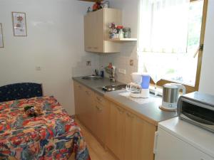 A kitchen or kitchenette at Apartment in Rennweg near Katschberg Ski Area