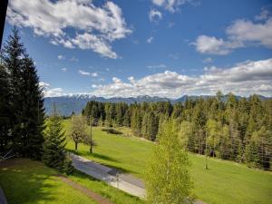 Galeriebild der Unterkunft Apartment in Mooswald in Carinthia with pool in Fresach