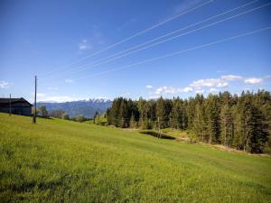 Galeriebild der Unterkunft Apartment in Mooswald in Carinthia with pool in Fresach
