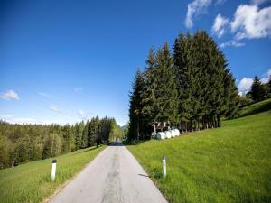 Galeriebild der Unterkunft Apartment in Mooswald in Carinthia with pool in Fresach