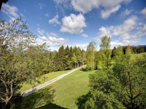 Galeriebild der Unterkunft Apartment in Mooswald in Carinthia with pool in Fresach