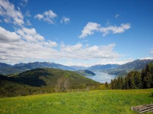 Galeriebild der Unterkunft Apartment in Mooswald in Carinthia with pool in Fresach