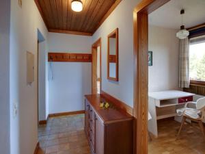 Galeriebild der Unterkunft Apartment in Mooswald in Carinthia with pool in Fresach + 23 Fotos
