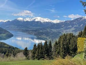 Galeriebild der Unterkunft Apartment in Mooswald in Carinthia with pool in Fresach