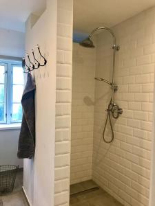 a bathroom with a shower with a shower head at Kätchens Glück in Dörphof