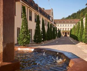 Afbeelding uit fotogalerij van Hotel Therme Bad Teinach in Bad Teinach-Zavelstein