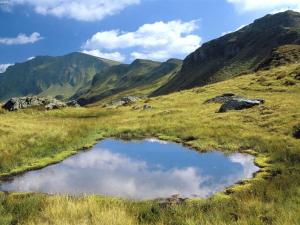 a small pool of water in a field with mountains at Modern apartment in Saalbach Hinterglemm in Viehhofen