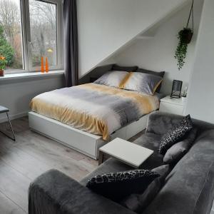a bedroom with a bed and a couch with a laptop at Studio 76 Groningen met gratis leenfietsen in Groningen