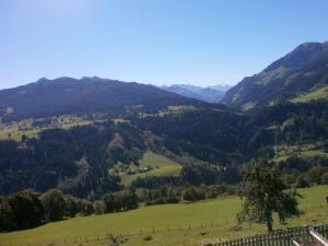 a view of the mountains from the top at Cosy holiday flat in a farmhouse in Taxenbach
