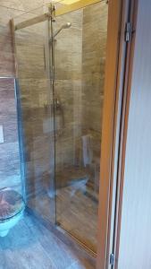 y baño con ducha y puerta de cristal. en Ferienwohnung direkt in Ilmenau, en Ilmenau