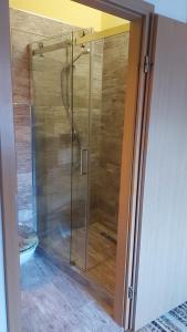 a glass shower door in a room at Ferienwohnung direkt in Ilmenau in Ilmenau