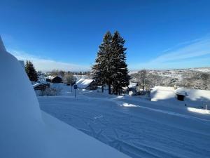 Chalet Drevarska v zime