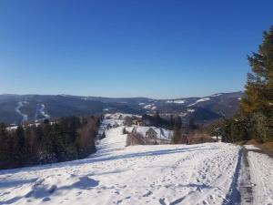 Loodusmaastik kodumajutuse lähedal