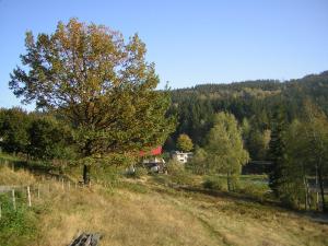 Loodusmaastik kodumajutuse lähedal