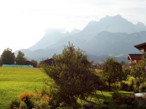 サンクト・ジョアン・イン・チロルにあるCozy apartment in St Johann in Tyrolの山を背景にした畑の眺め
